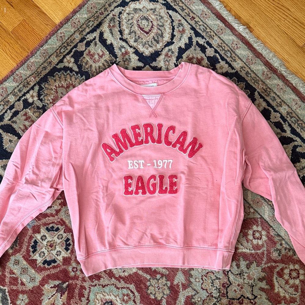 American Eagle Outfitters Pink Crew Neck Sweater